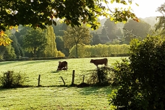 tuin_uitzicht_frankrijk_huis_huren